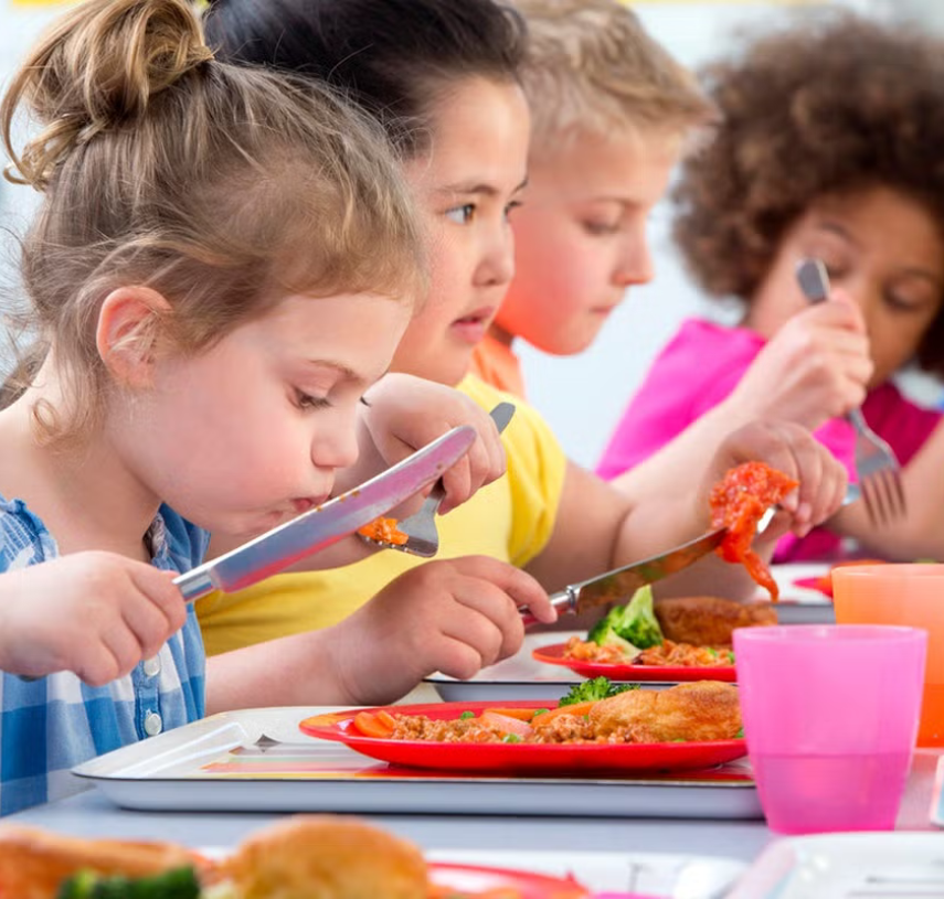 alimentação escolar
